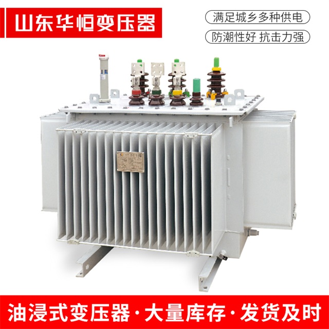 S13-10000/35振安振安振安电力变压器